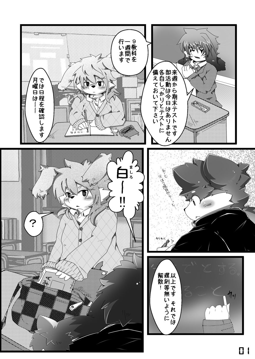 SAKASAMA Contrast page 2 full