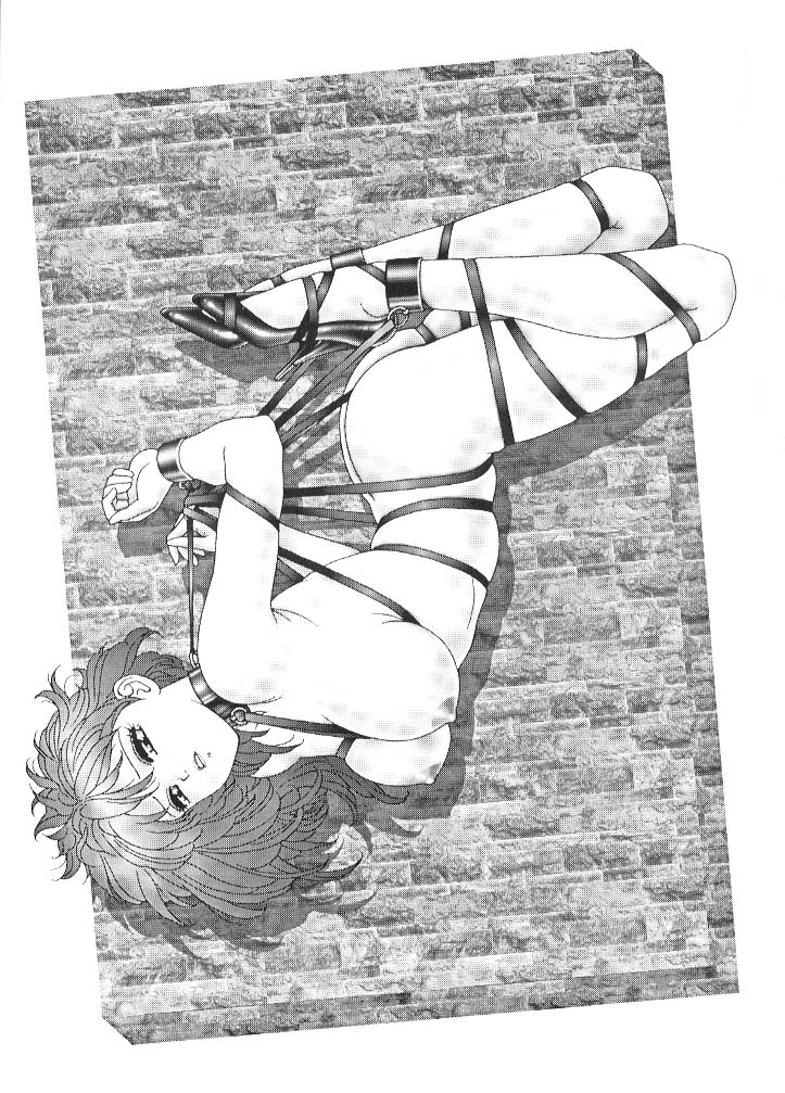 Bondage Collection Vol. 1 page 8 full