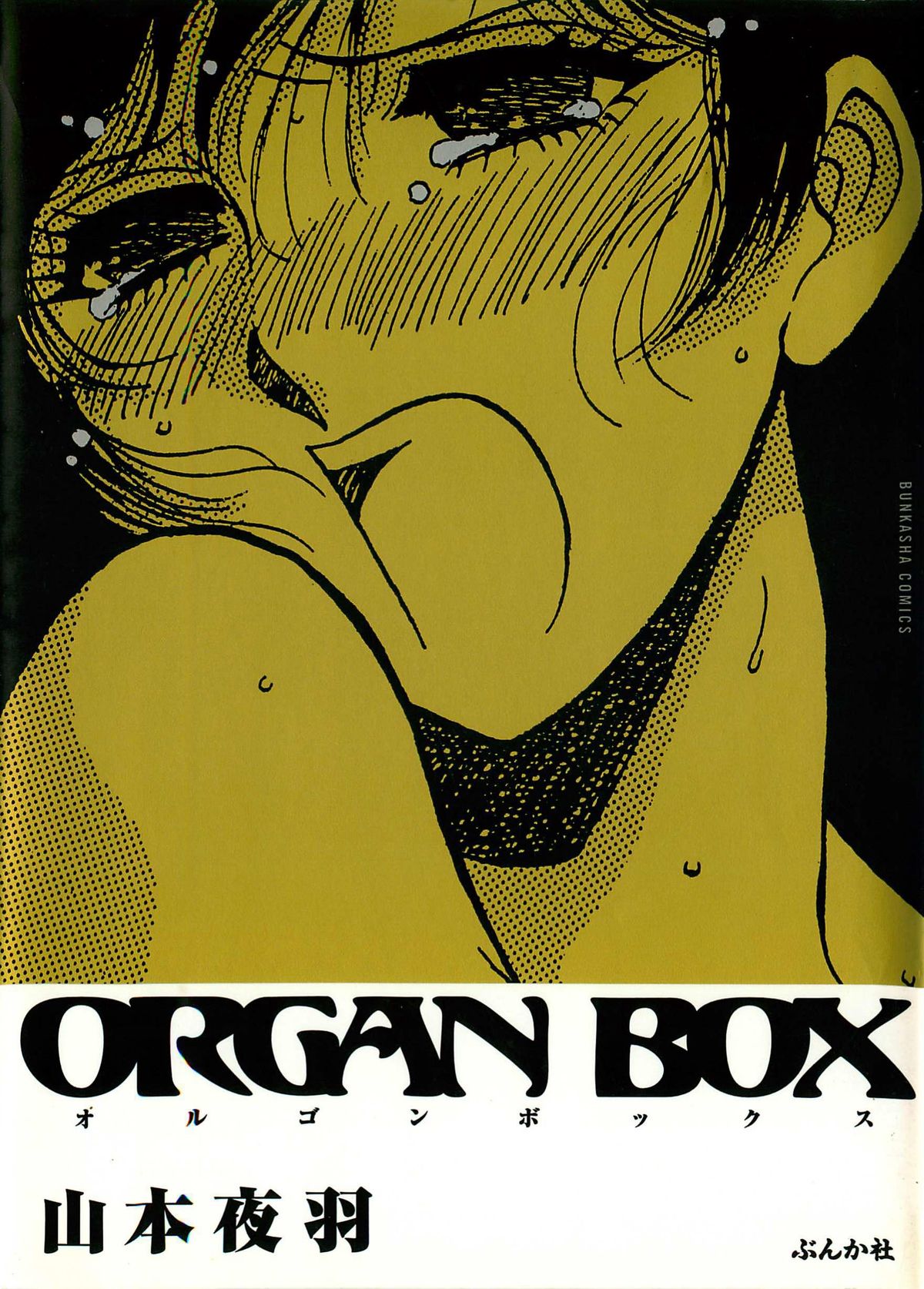 ORGAN-BOX page 1 full