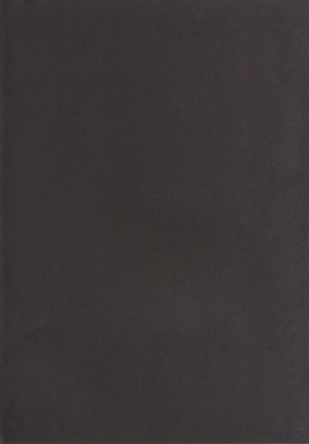 Alicia ☆ Fate Shimai Gifu Kan UNIZON Hside2 page 3 full