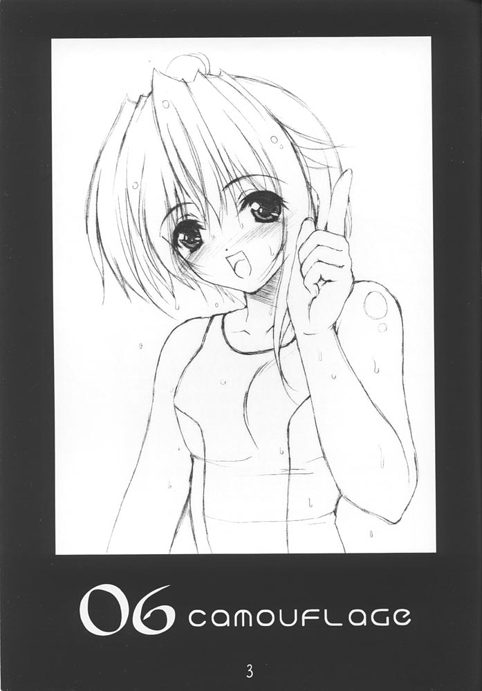 06 camouflage page 2 full