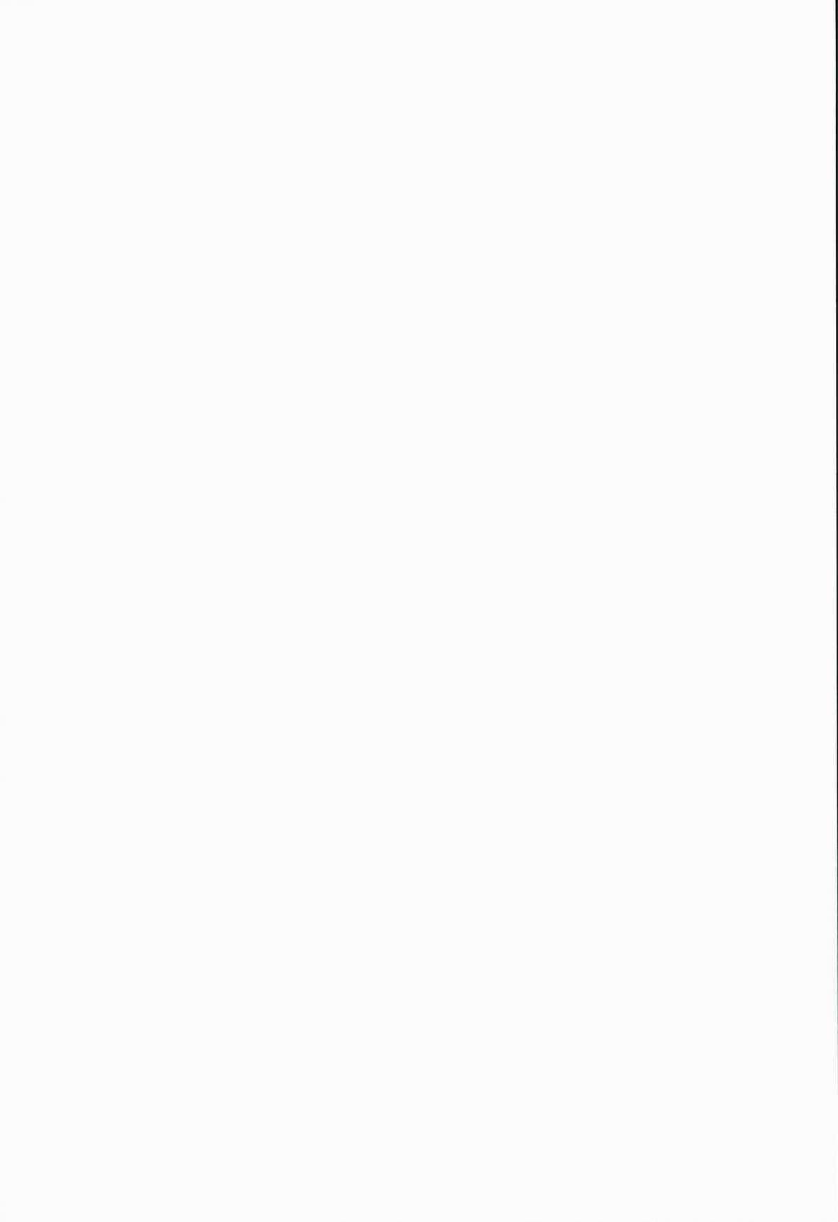 ANA-RISE page 2 full