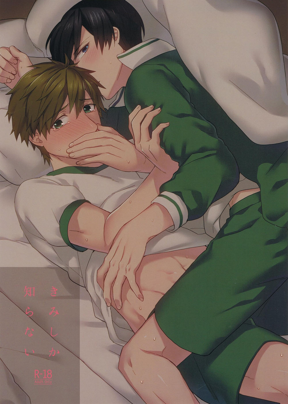 Kimi shika Shiranai | Only You Know page 1 full