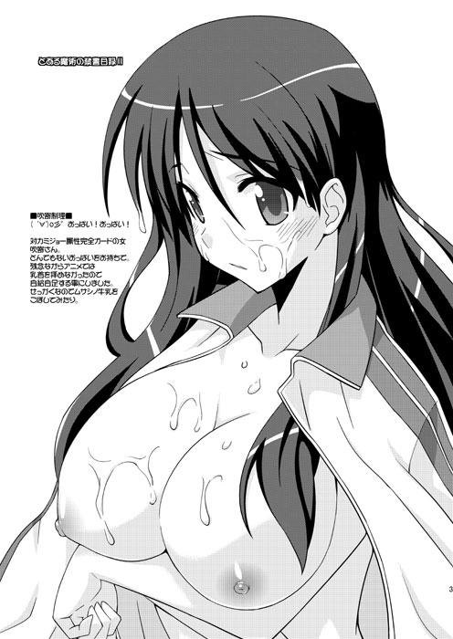 Omake Hon 2010 WINTER page 3 full