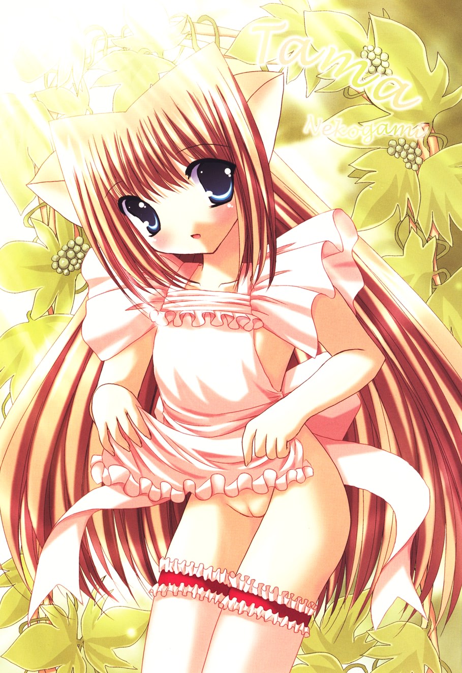 Nichoume no Nekogamisama page 4 full