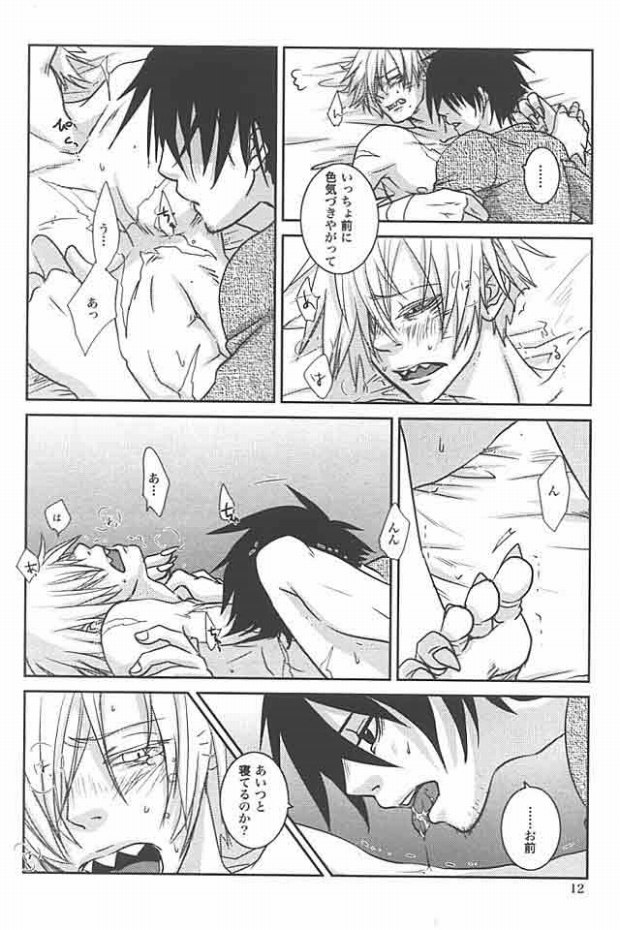 Zwinger page 10 full