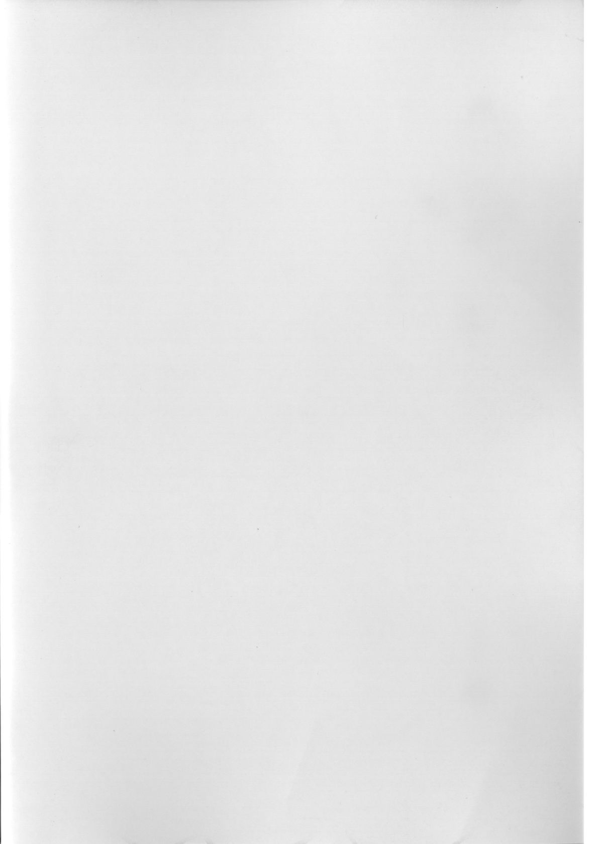 LEMON SPATS page 2 full