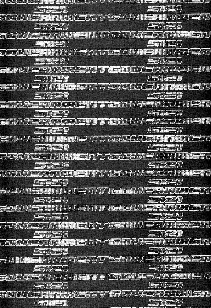 GOVERNMENT5121 page 2 full