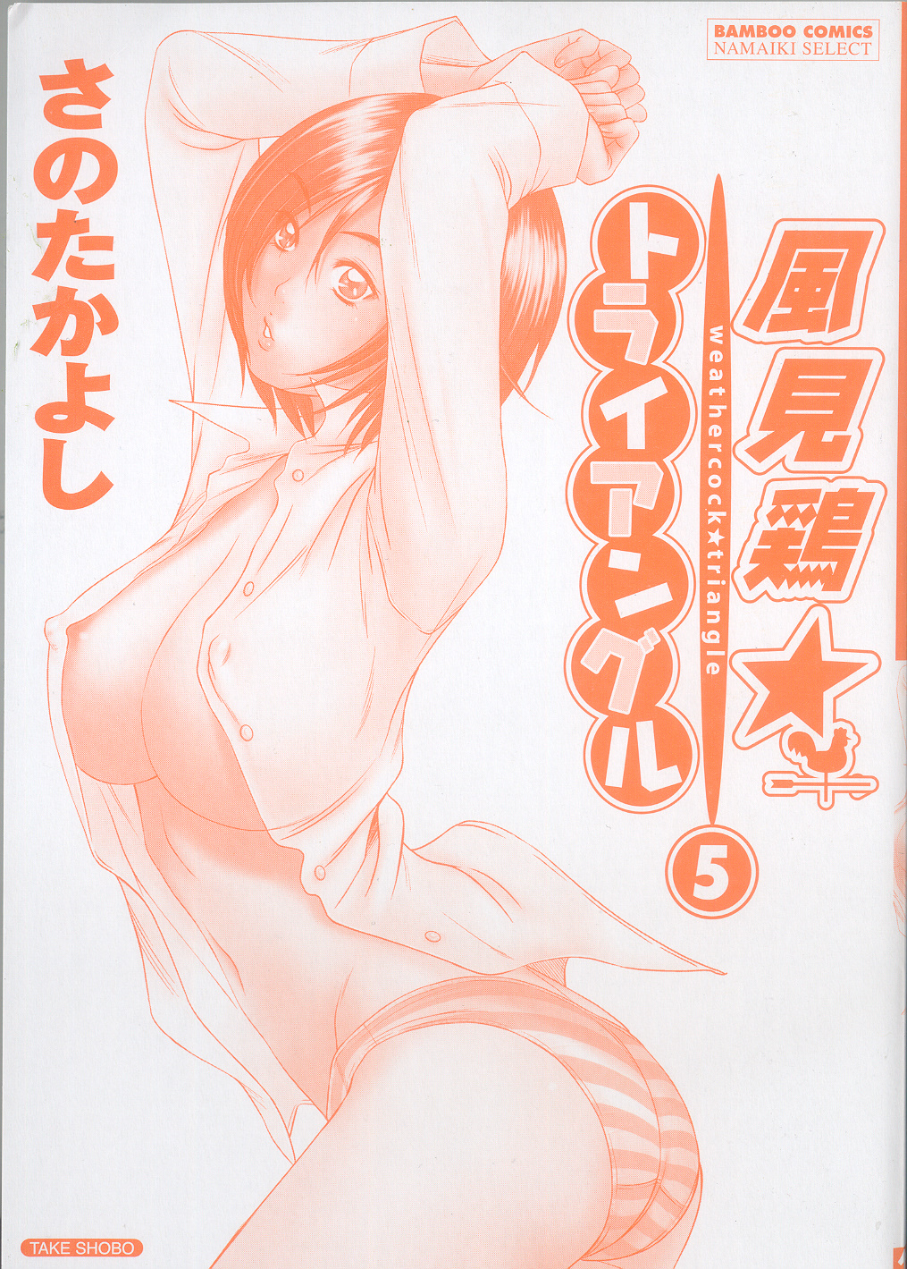 Kazamidori Triangle 5 page 2 full