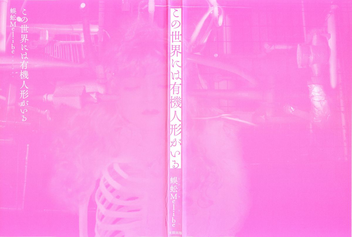 Kono Sekai niwa Yuuki Ningyou ga Iru page 3 full