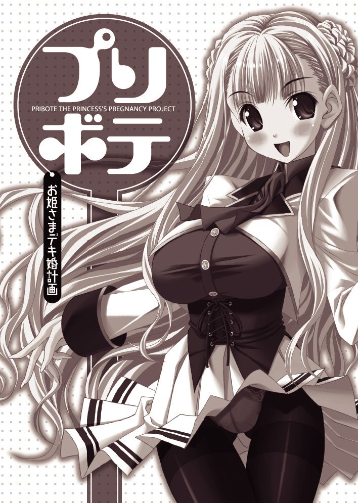 Prin-bote Ohimesama Deki-kon Keikaku page 4 full