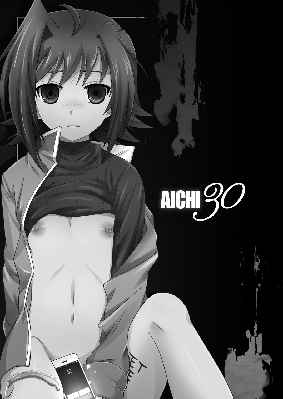 AICHI30 page 2 full