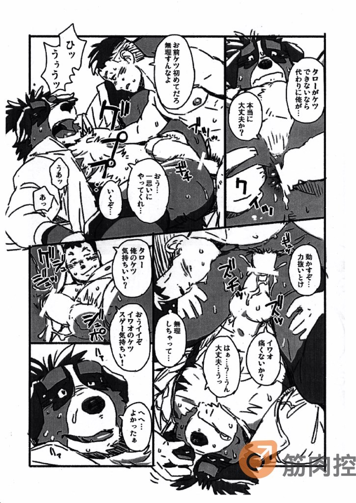 Bernese Bernese page 7 full