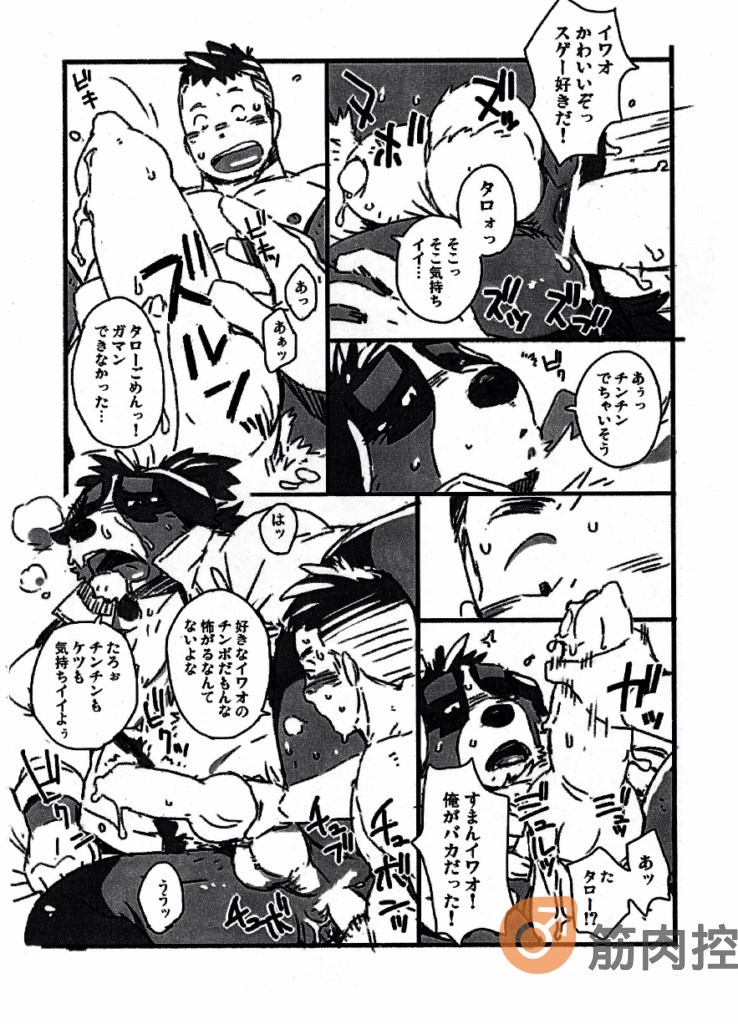 Bernese Bernese page 8 full