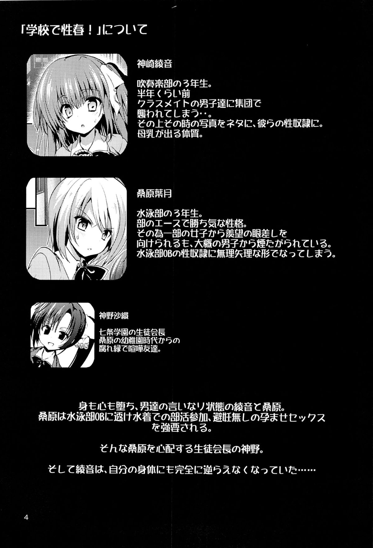 Gakkou de Seishun! 10 page 3 full