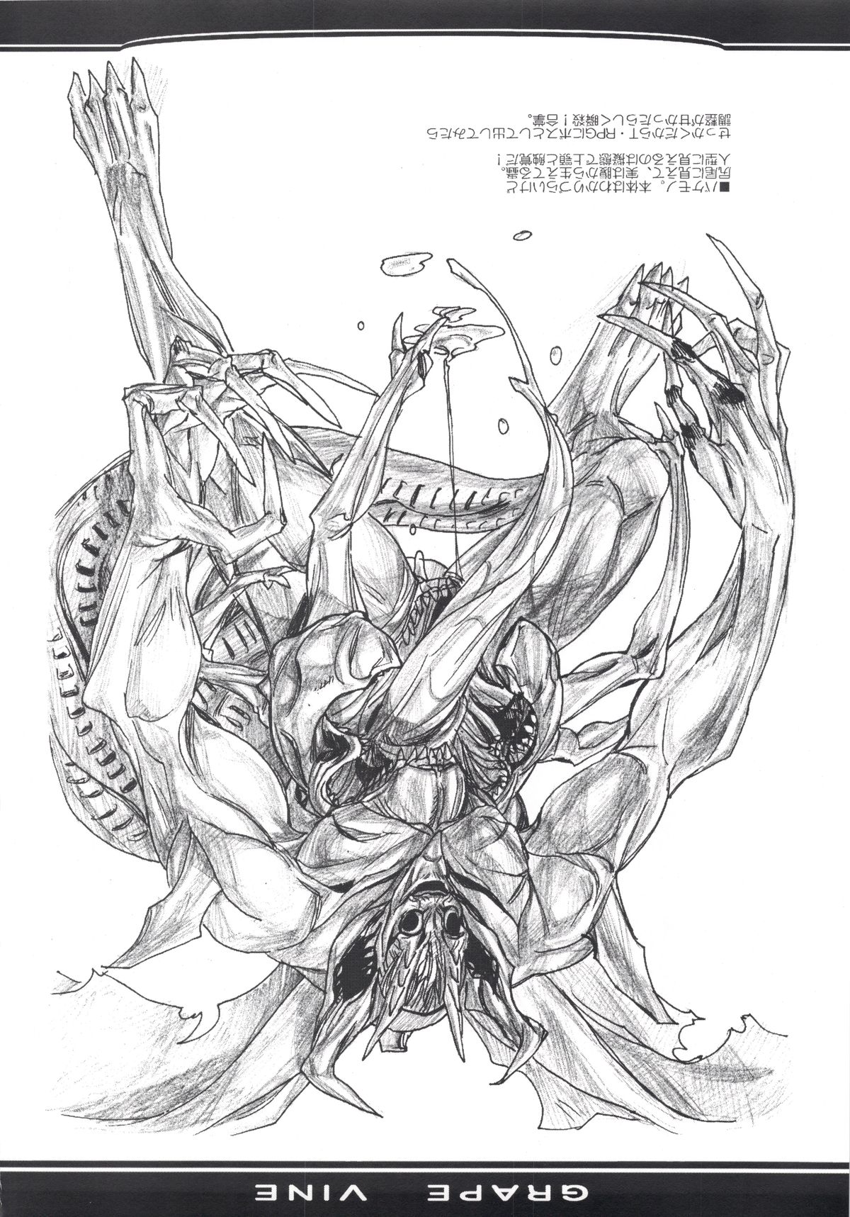 Grape Vine. page 7 full