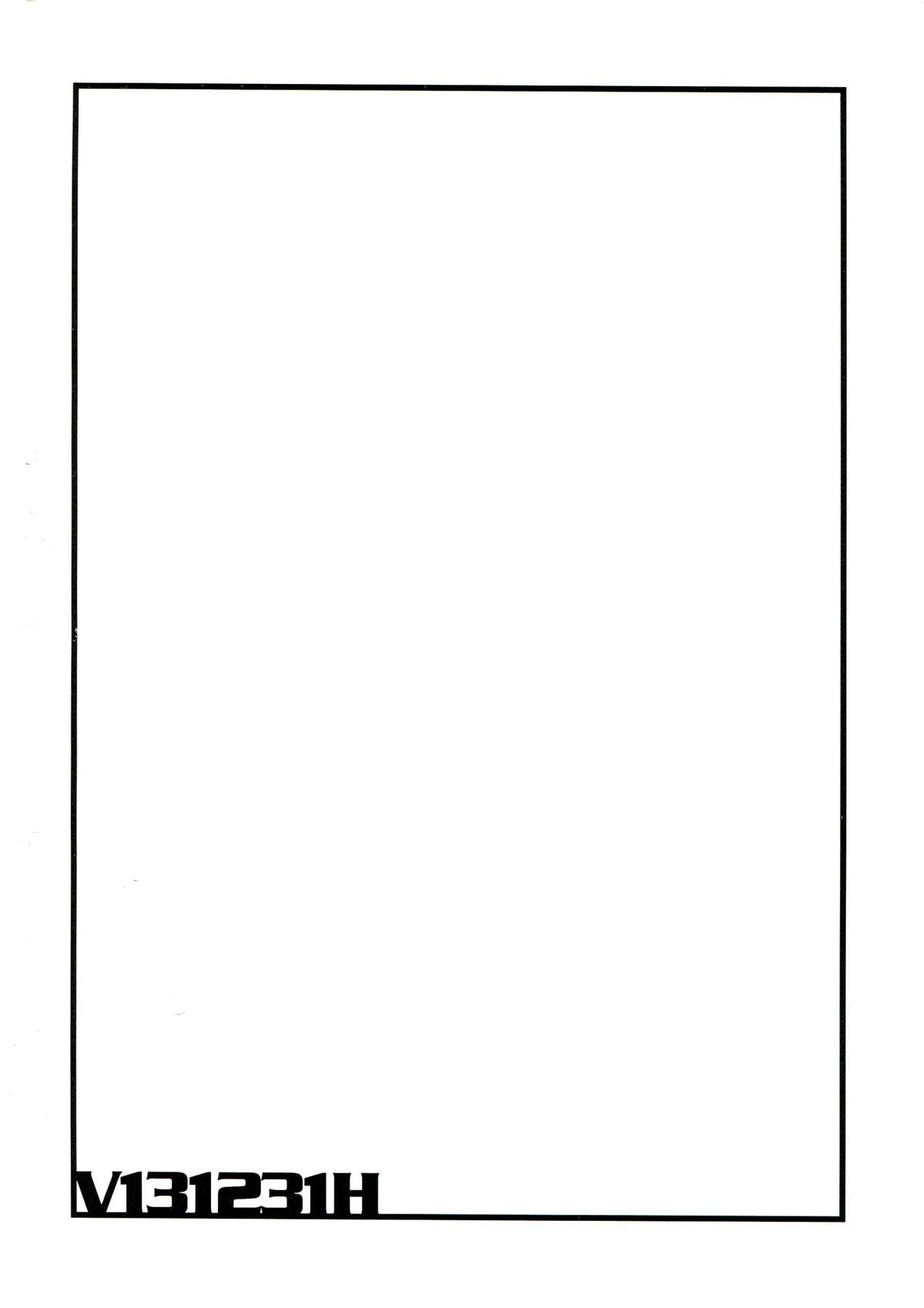 V131231H page 4 full