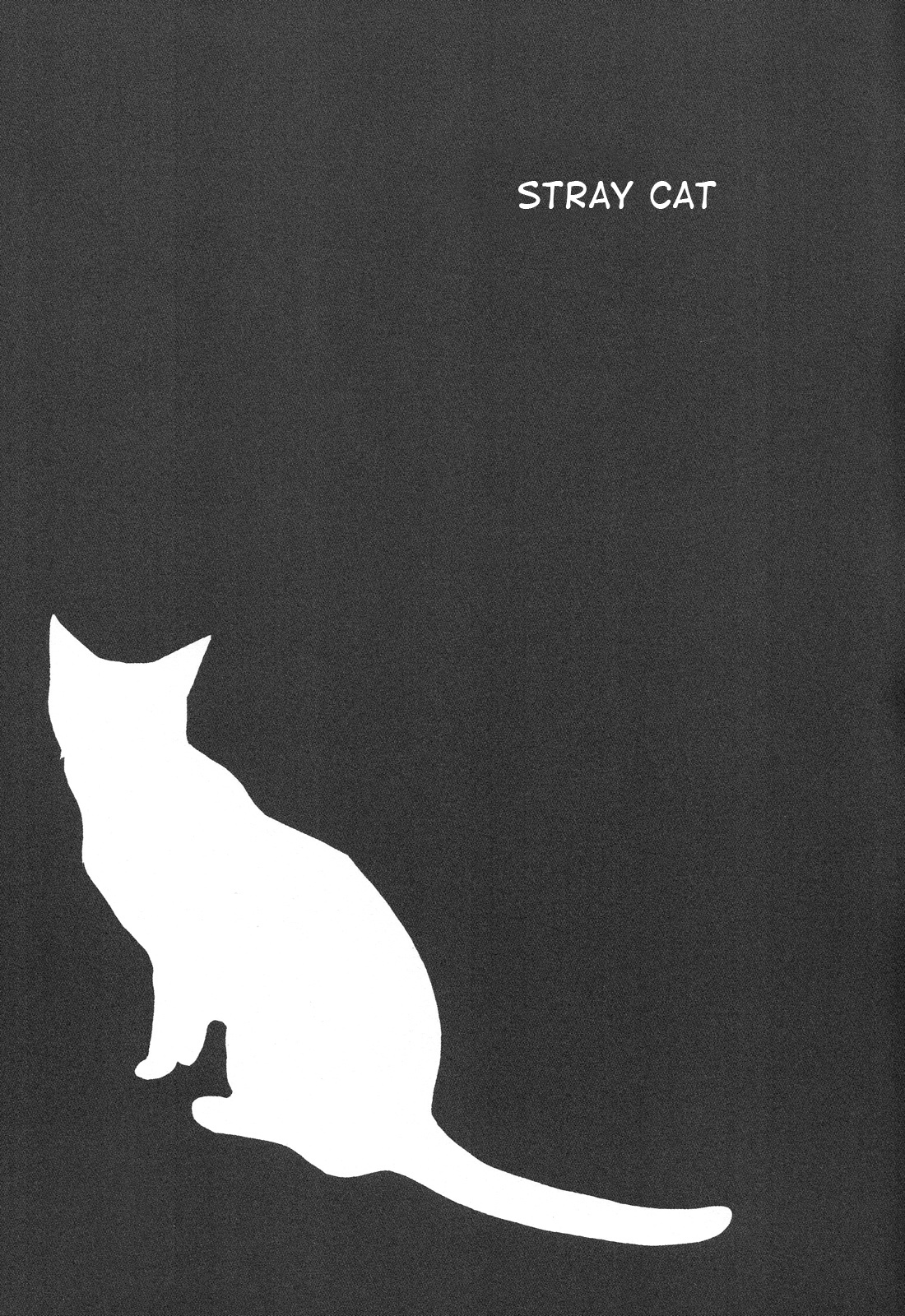 Noraneko | Stray Cat page 4 full