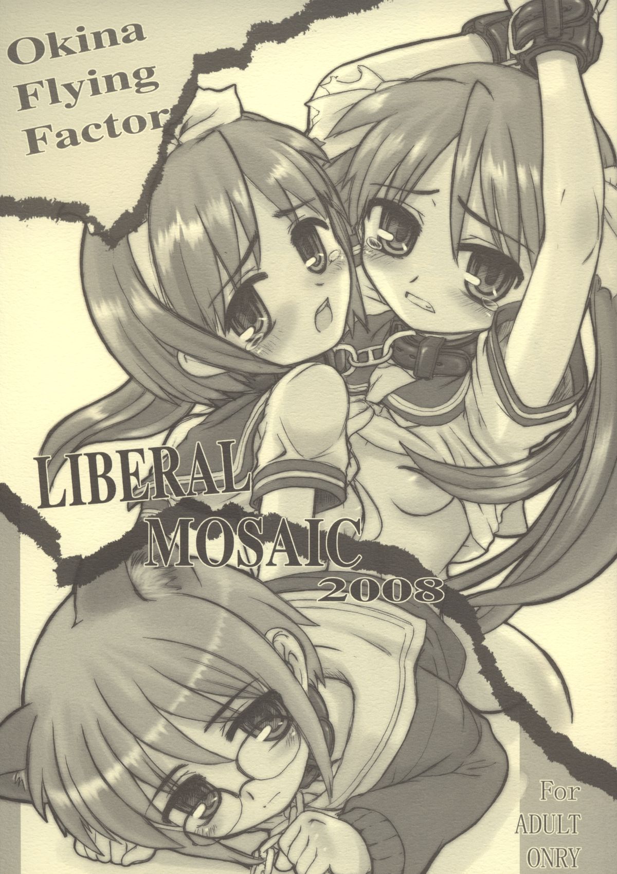 Liberal Mosaic 2008 page 1 full