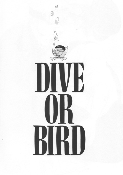DIVER END BIRDIE page 3 full