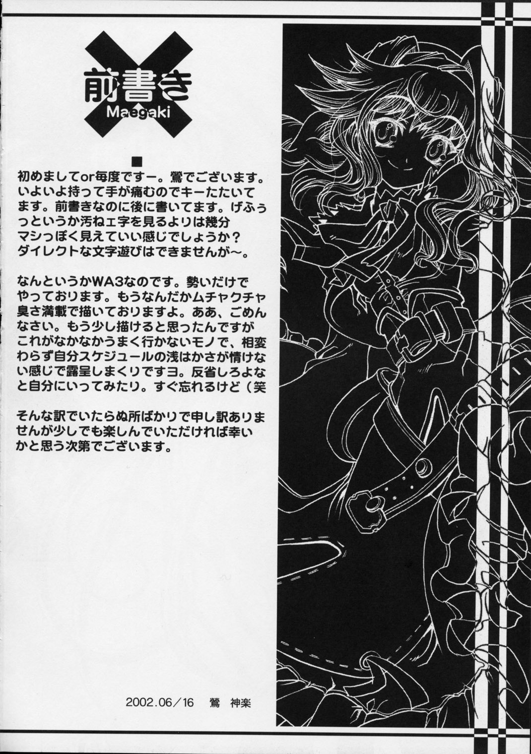 DW5 WILDGUNNERS page 3 full