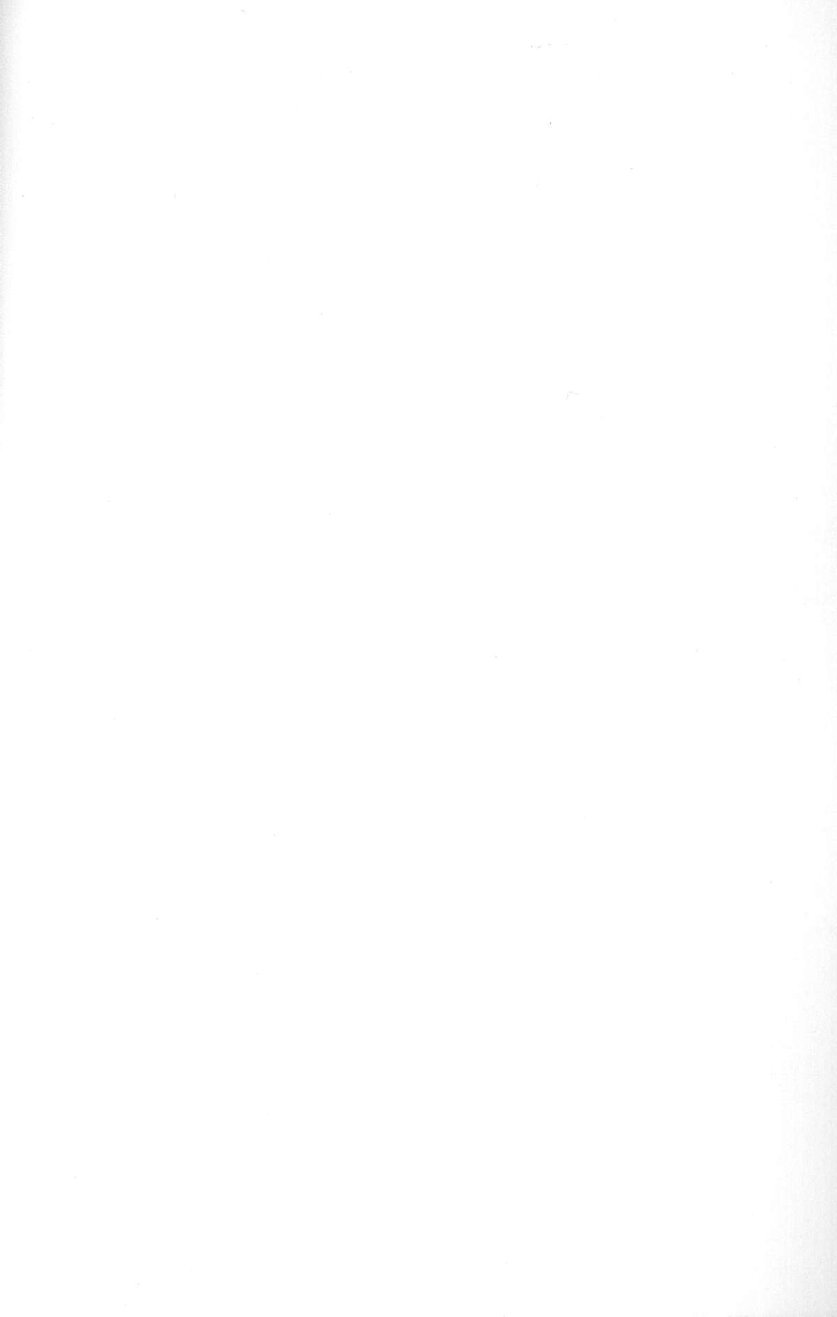 Mantou .38 page 2 full