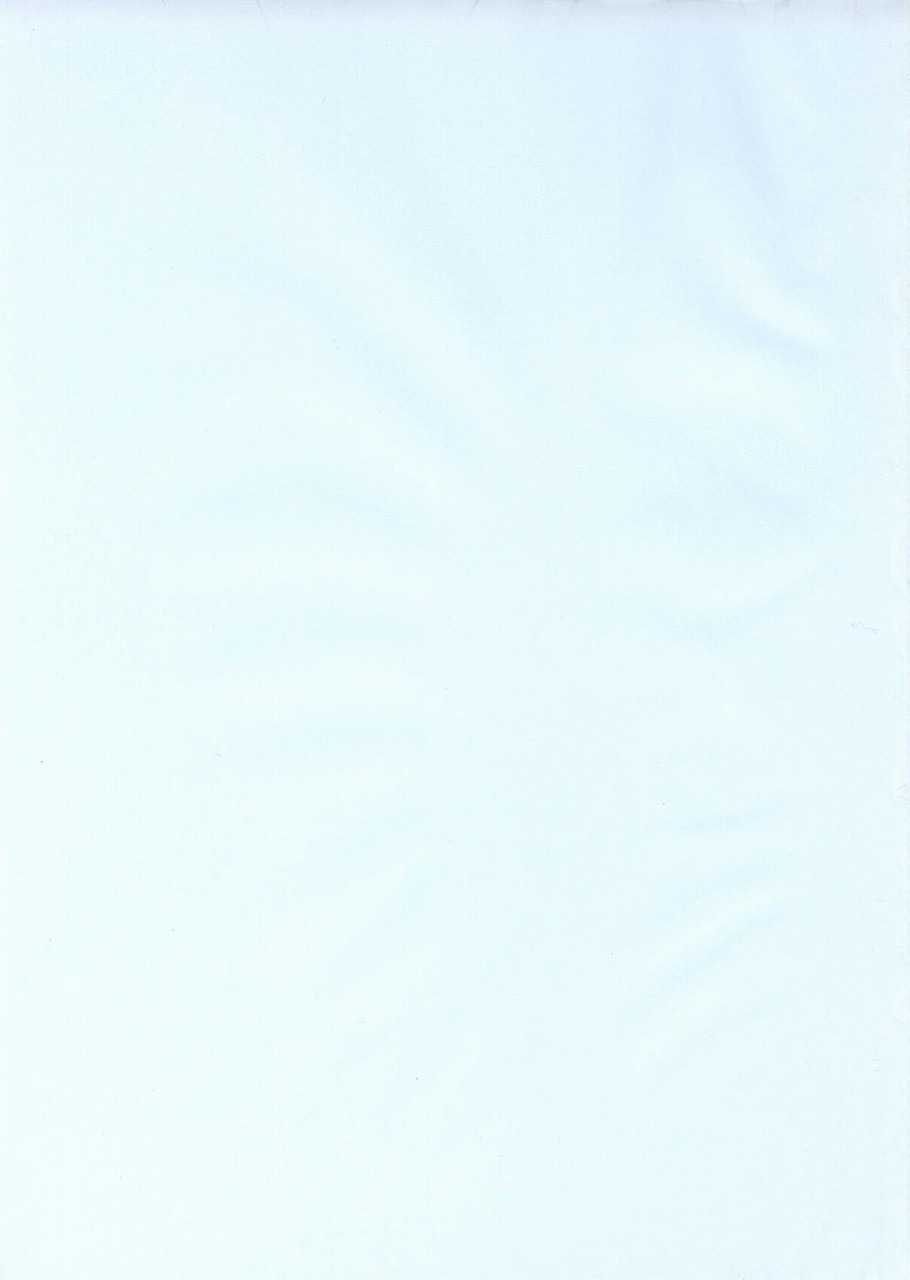 Puchi  Petit page 2 full