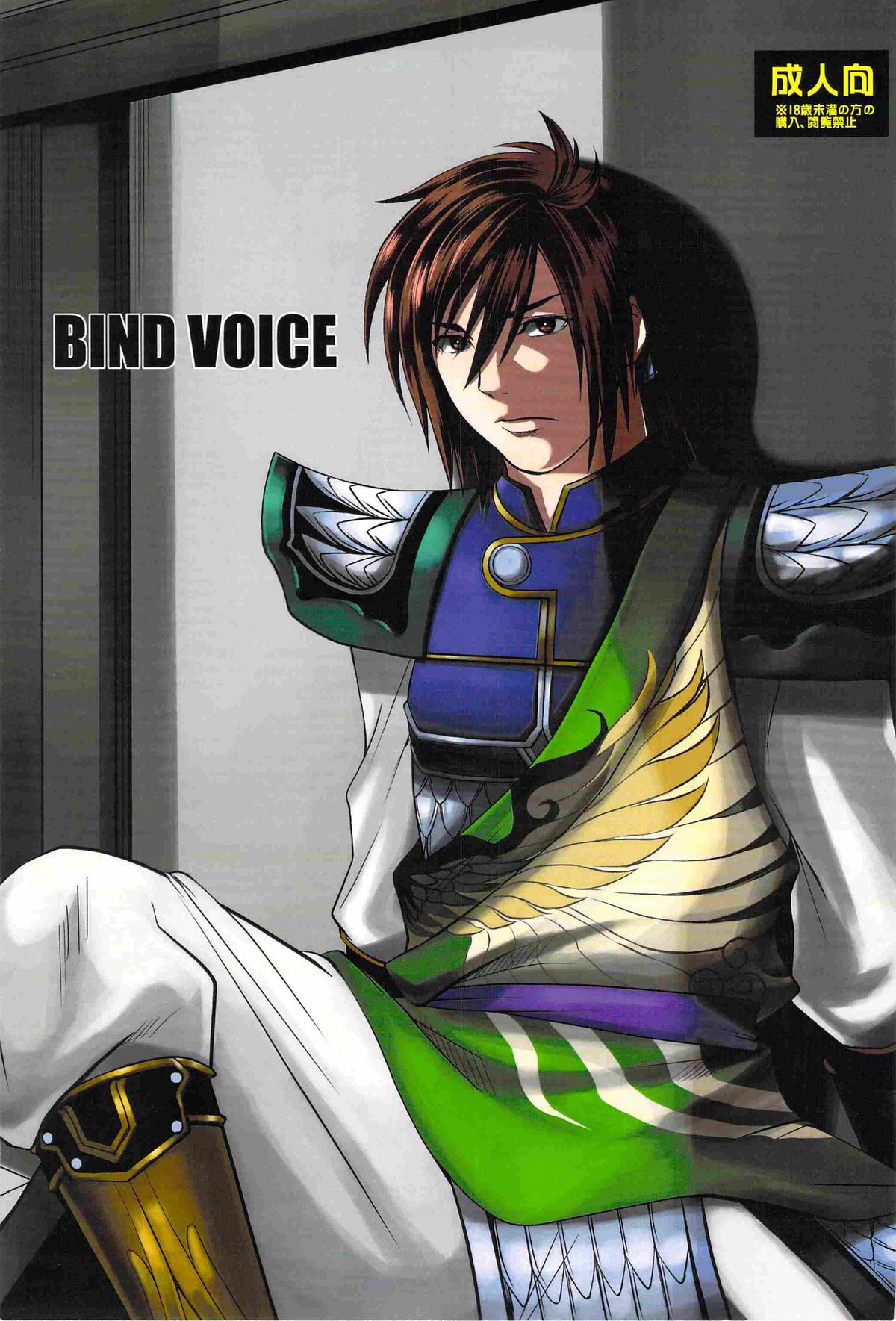 Bind Voice page 1 full