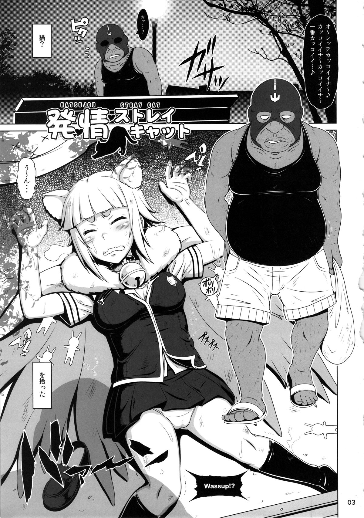 Hatsujou Stray Cat page 2 full