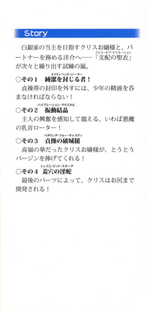 Shirogane no Ojousama to Shihai no Cloth page 6 full