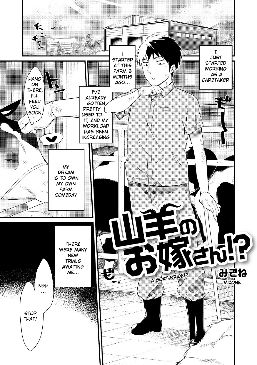 Yagi no Oyome-san!? | A Goat Bride!? page 1 full