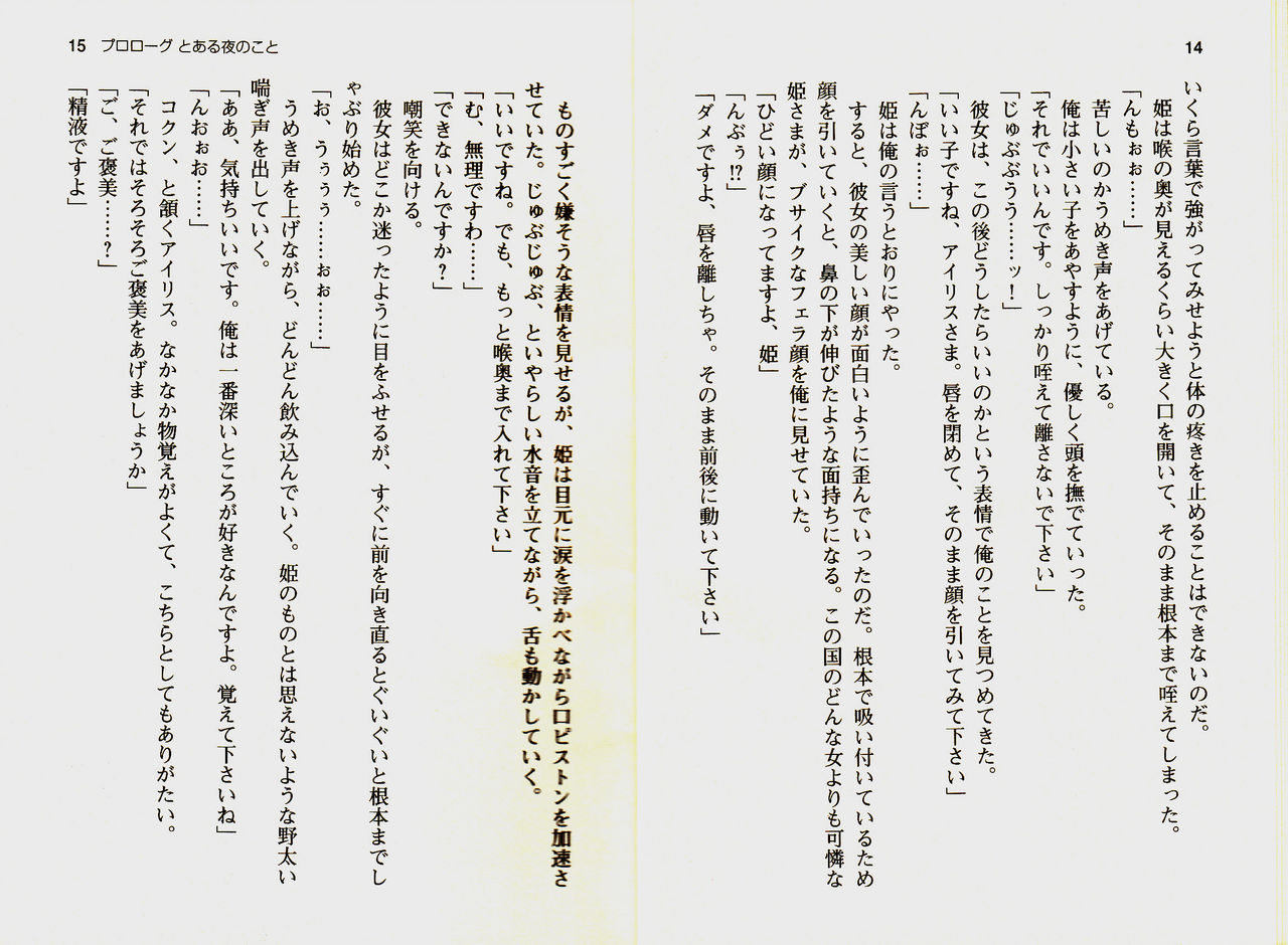 Kouki na Princess o Shiiku Choukyou! page 10 full