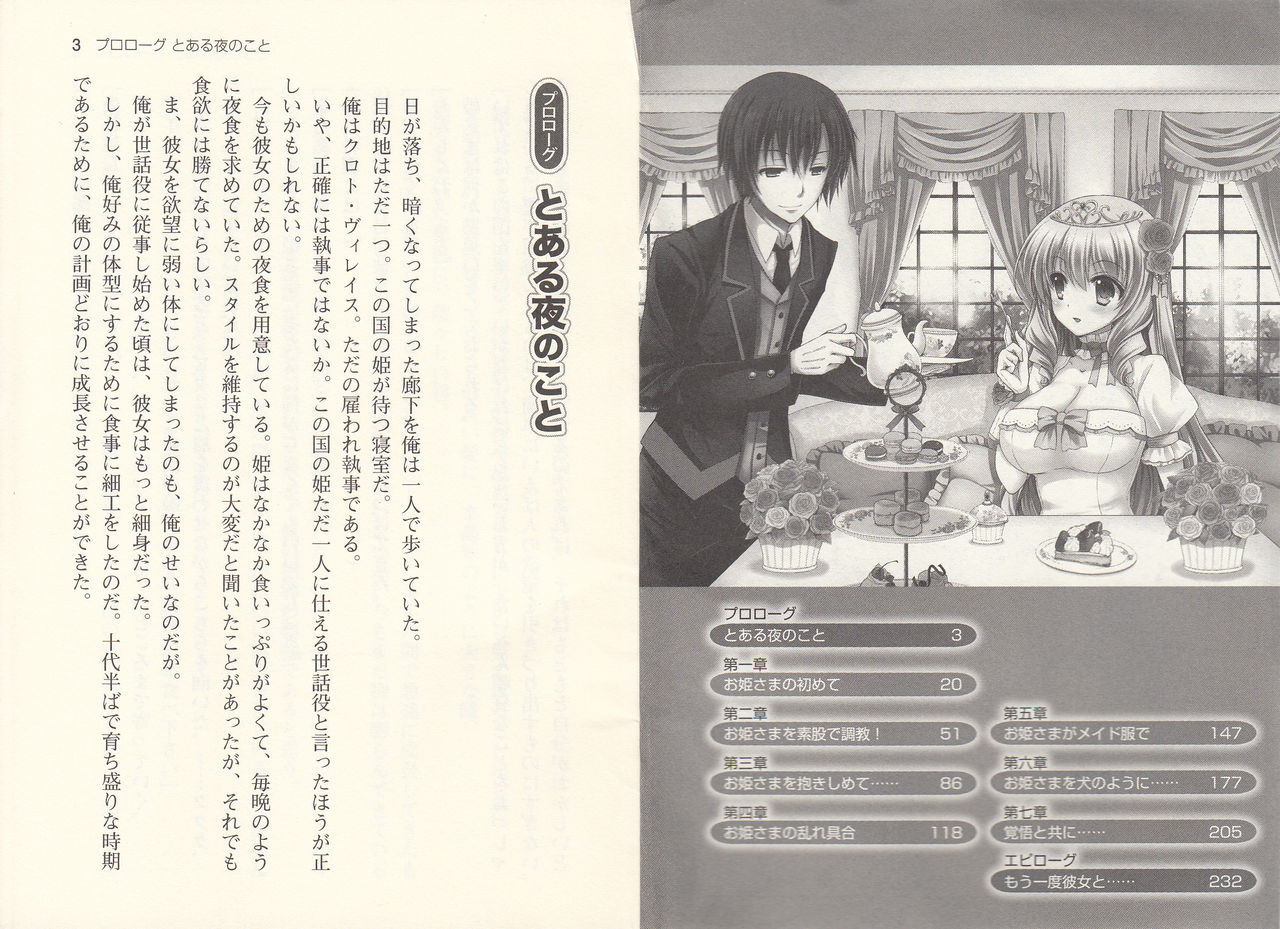 Kouki na Princess o Shiiku Choukyou! page 4 full