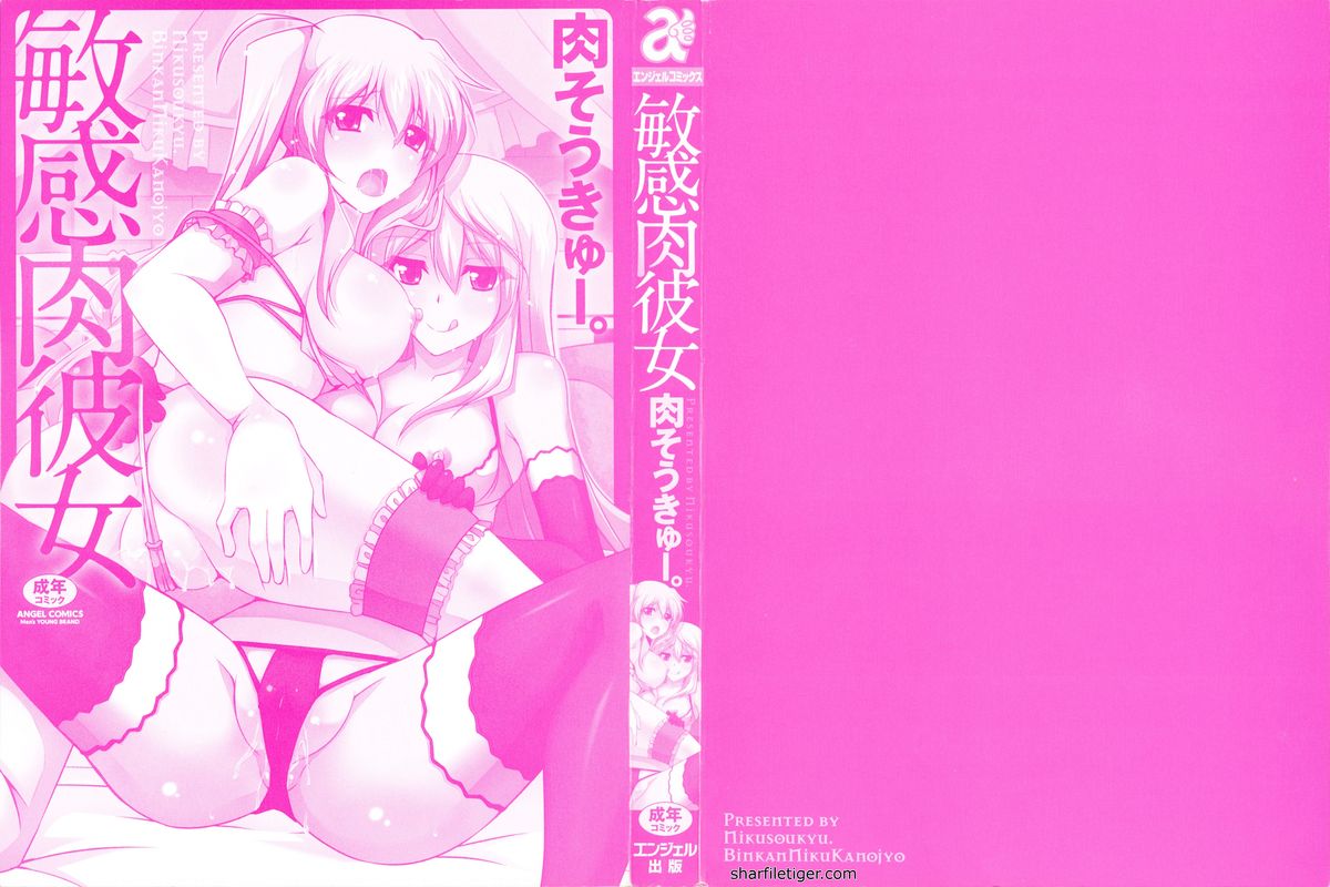 Binkan Niku Kanojyo page 2 full