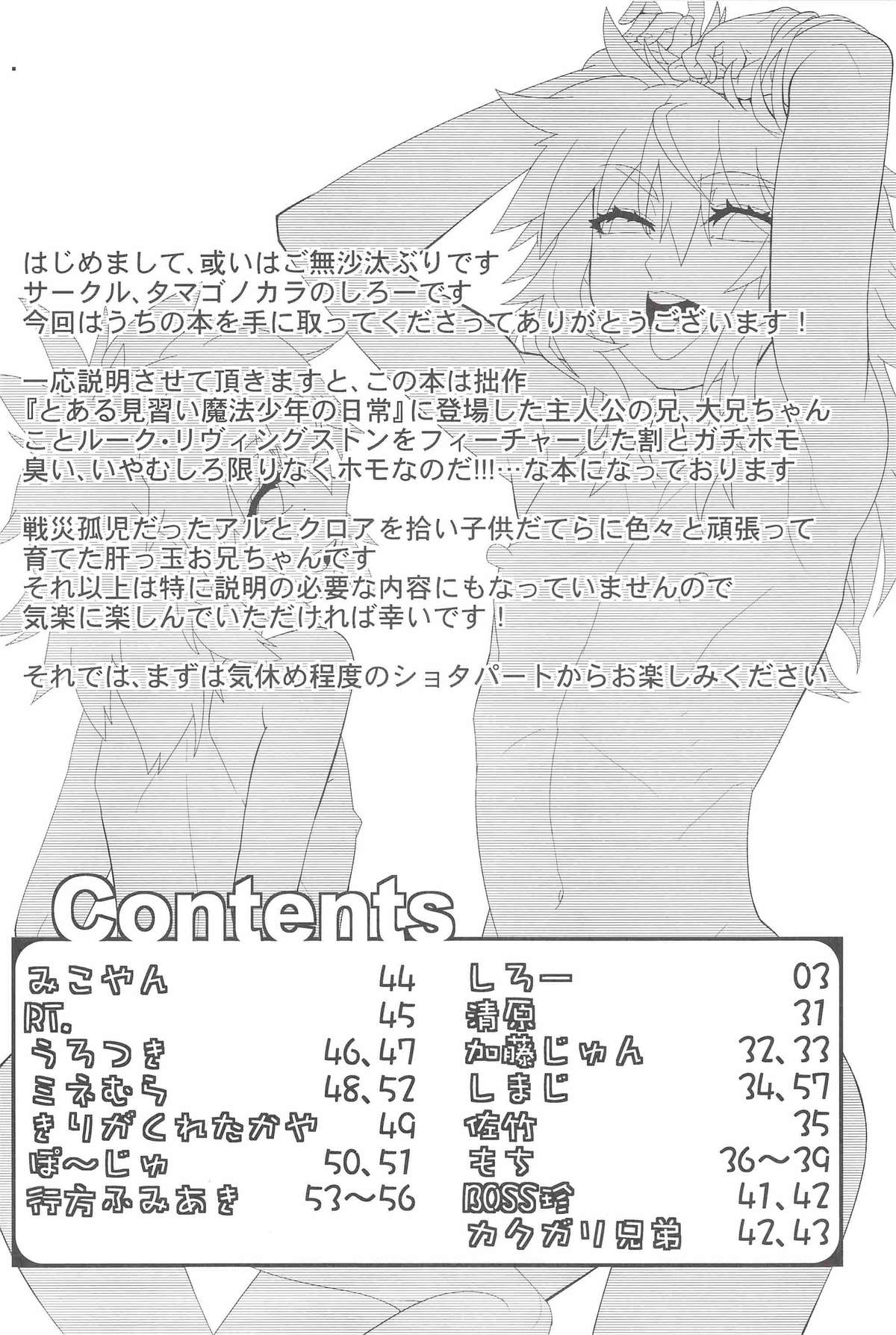 Toaru Hourou Seinen no Houtou na Nichijou page 3 full