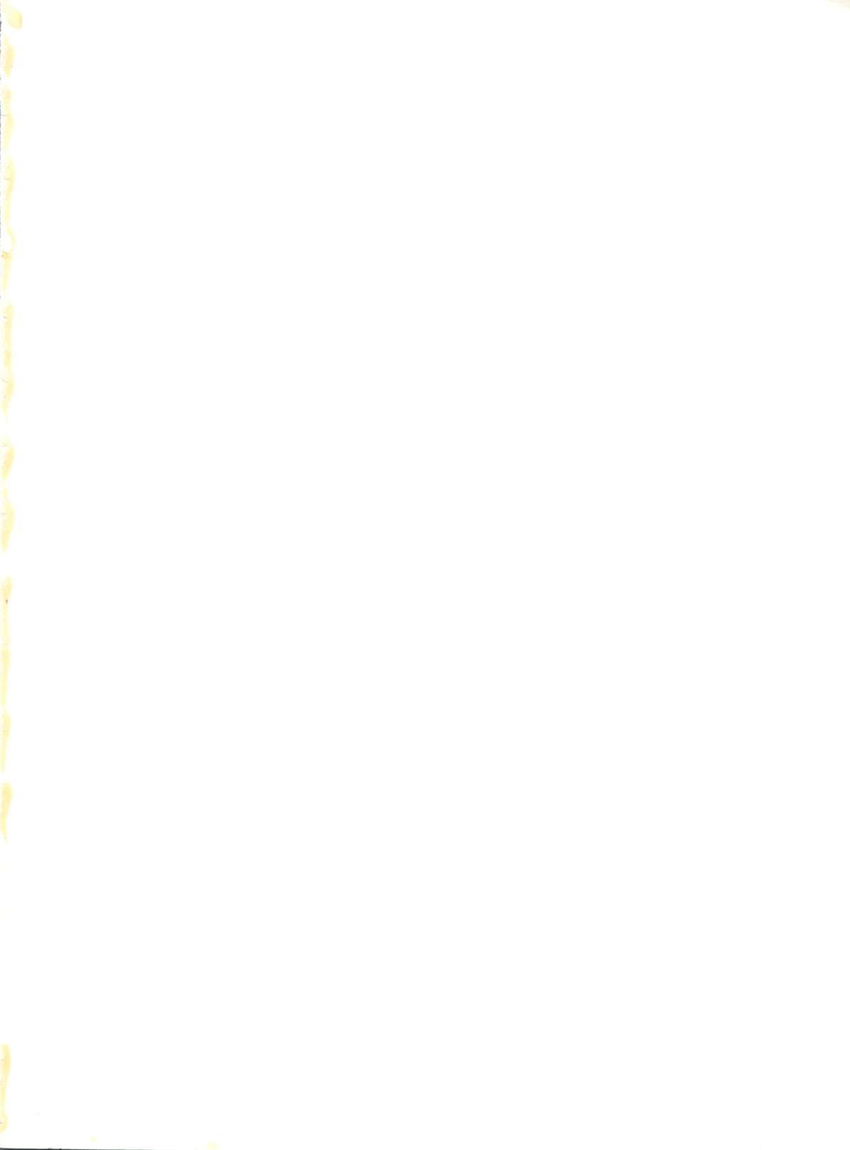 Zubizu Bat page 2 full