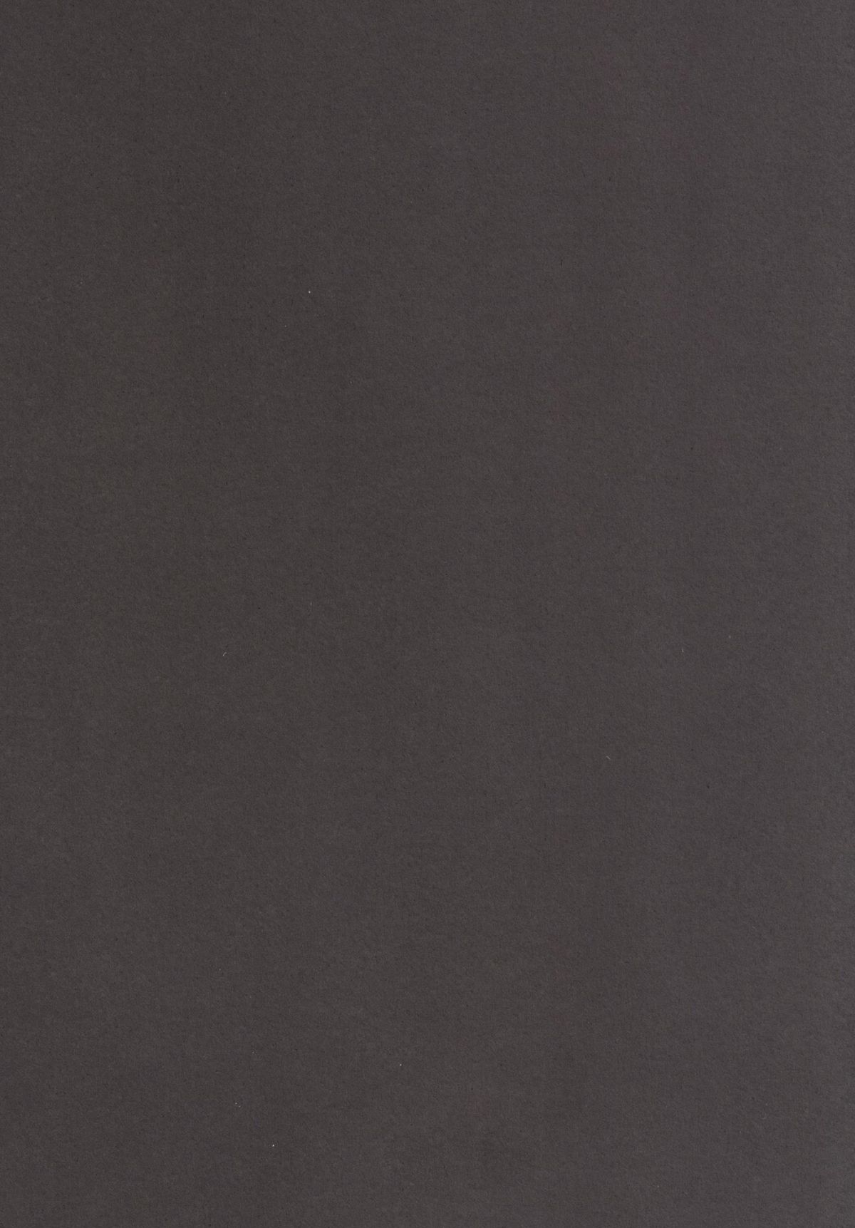 Gensou Kinjuuen 2 page 3 full