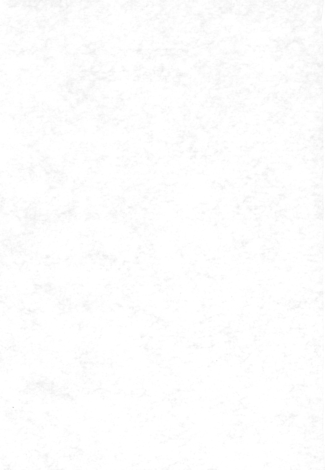 Shiawase Punch! 4 page 2 full