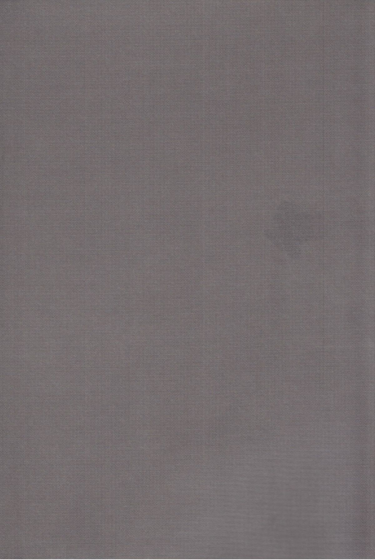 BiriBiri Shock! page 3 full