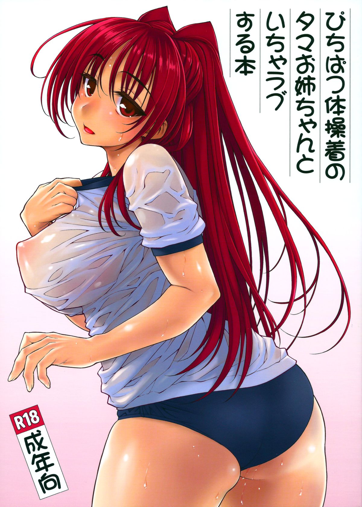 Pichipatsu Taisougi no Tama Oneechan to Icha Love Suru Hon page 1 full