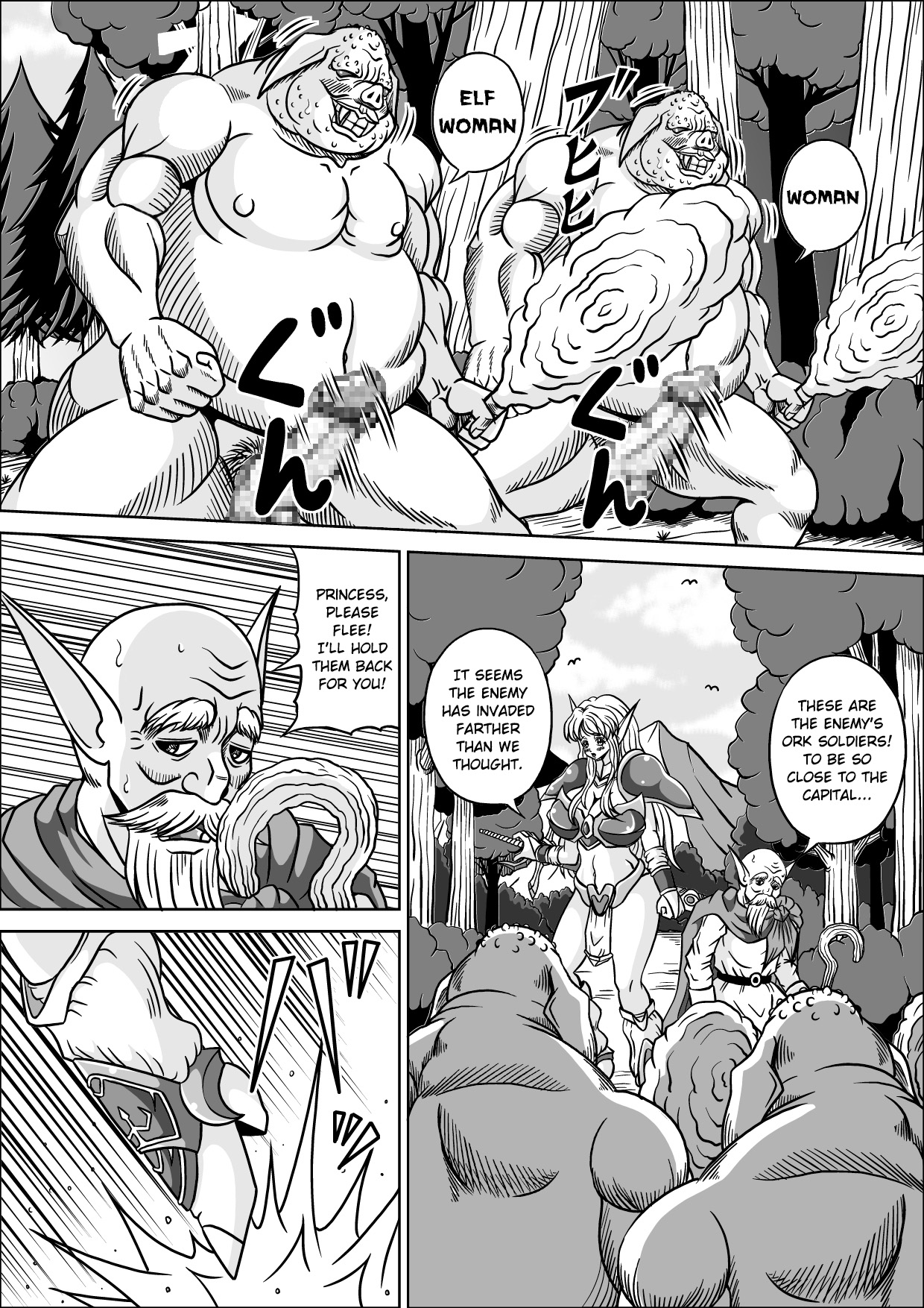Boukoku no Elf Hime page 5 full
