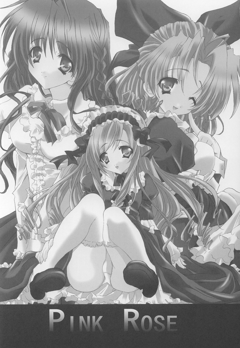 Pink Rose page 2 full