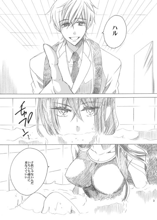 冬コミ新刊【ス14a】ハルちゃん女体化　※書店委託追記 sample page 2 full