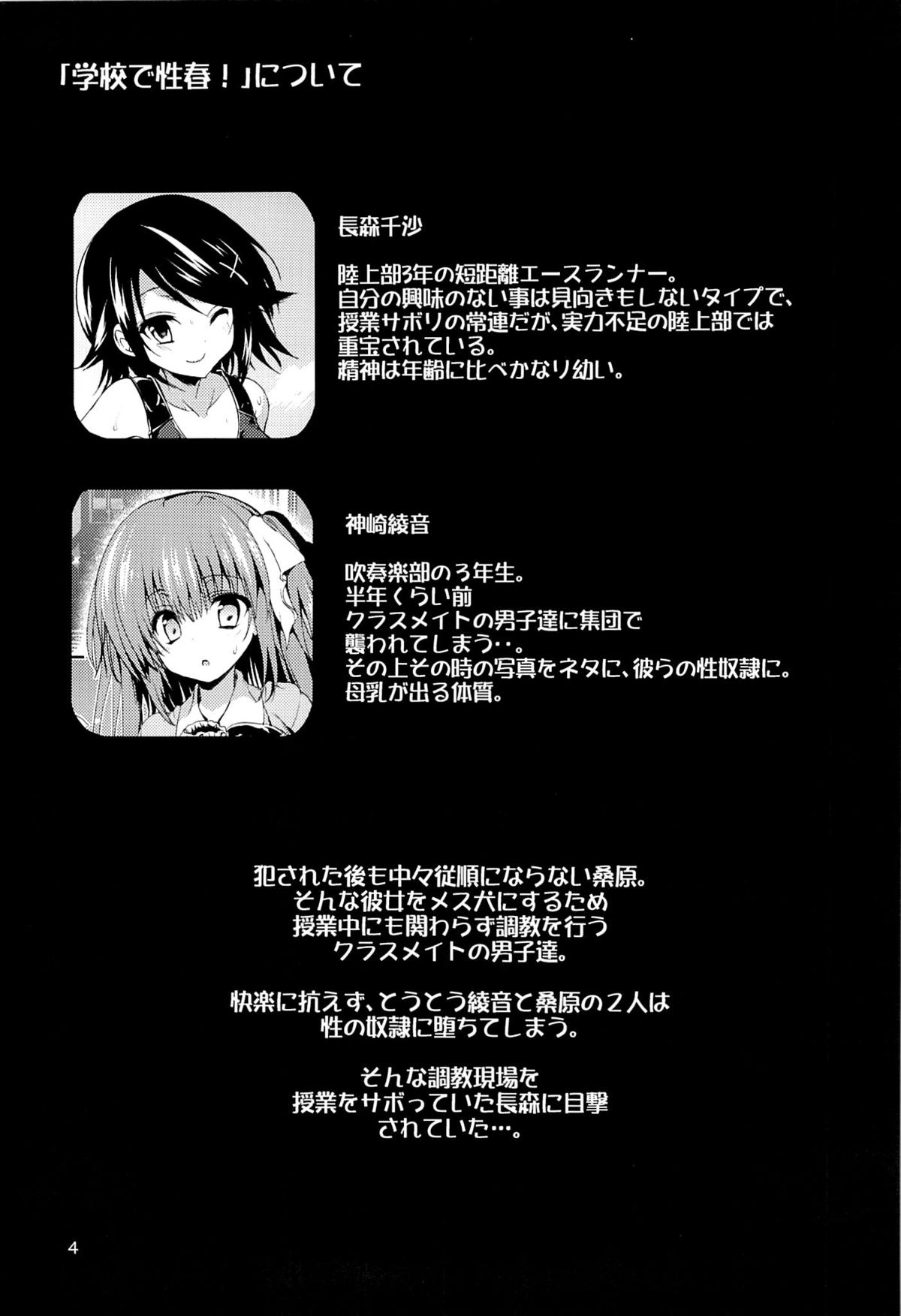 Gakkou de Seishun! 8 page 3 full