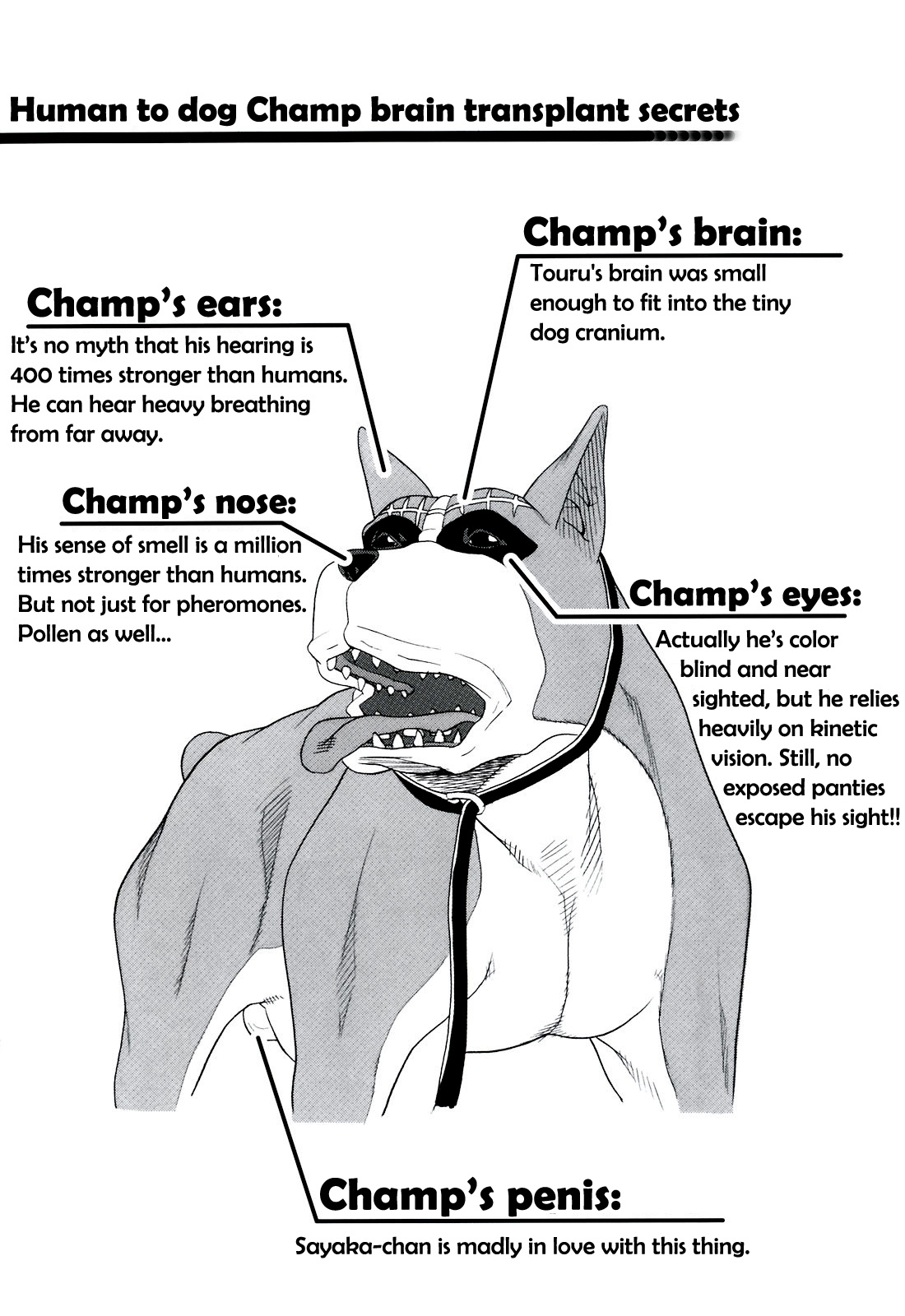 Inu no Seikatsu - A Dog's Life Ch. 1-3 page 6 full