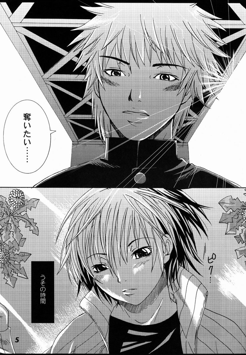 Terquoiz page 4 full