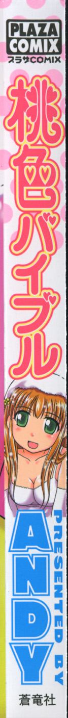 Momoiro Bible page 3 full