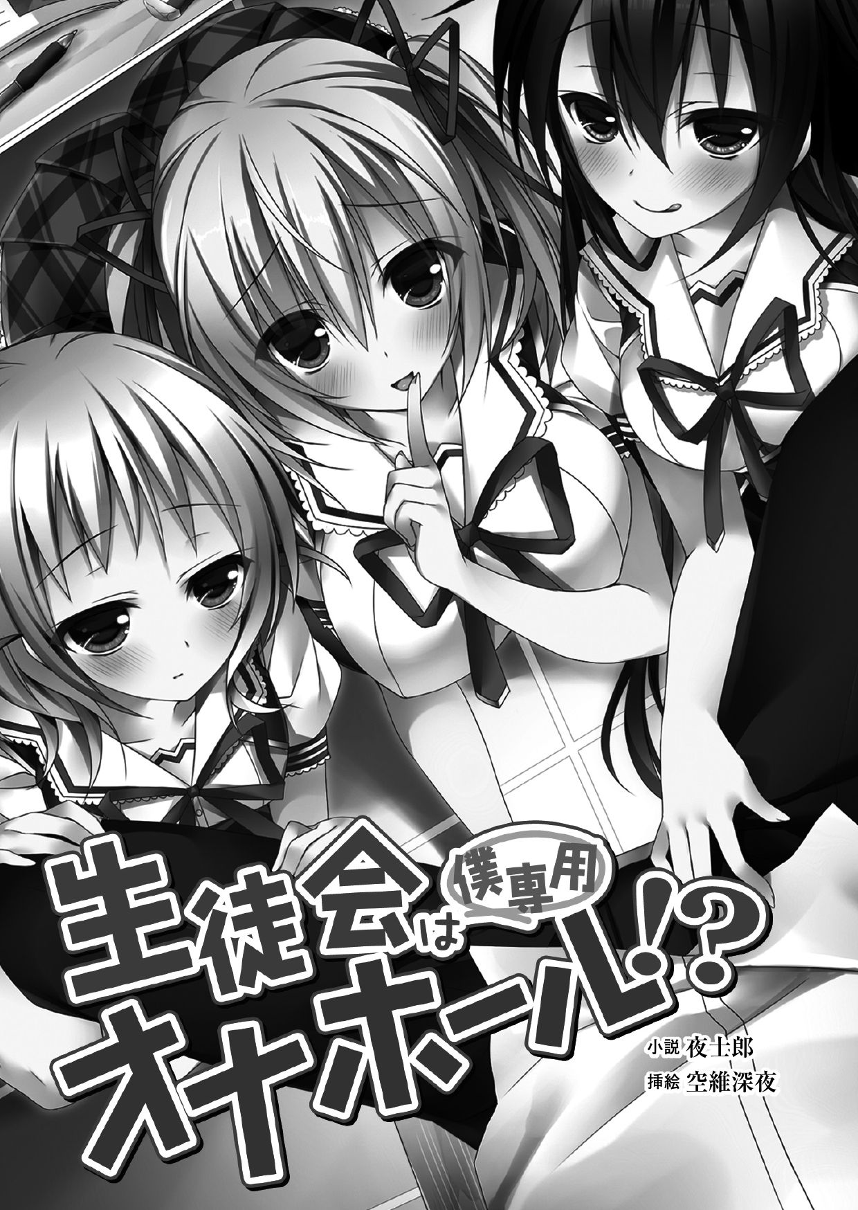 Seitokai wa Boku Senyou Onahole!? page 4 full